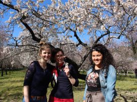 38 Alumnas Capicúa junto a almendros